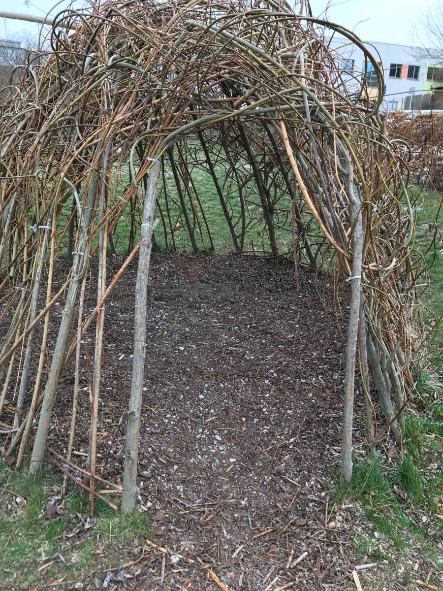 Foto /pics/21703-img_2627.jpeg