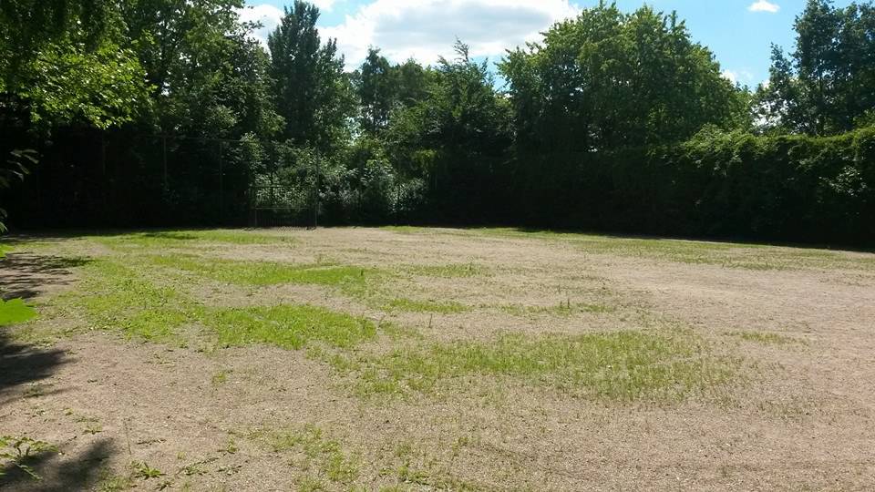 Foto /pics/23740-10384817_4400823595515_903559298935277868_n.jpg