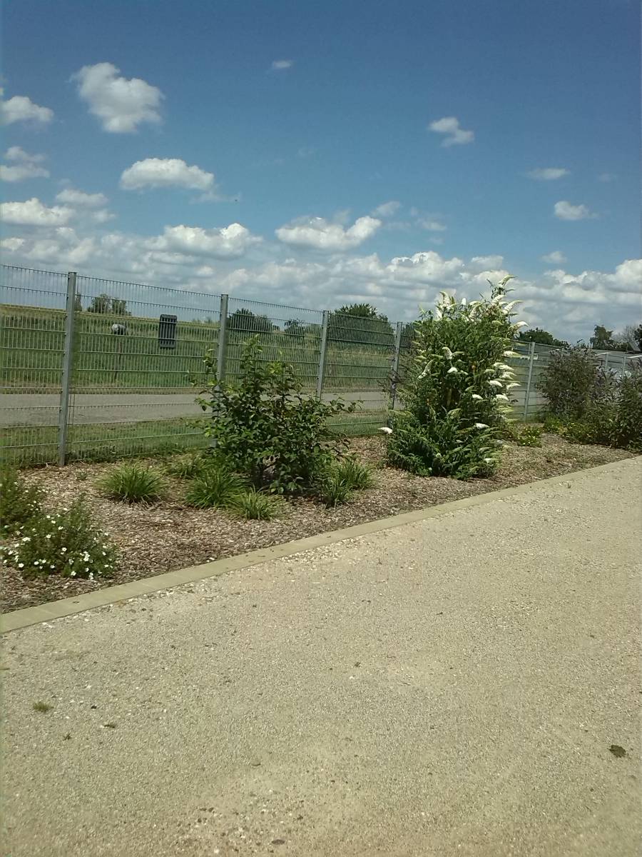 Foto /pics/24265-img_20140712_153056.jpg