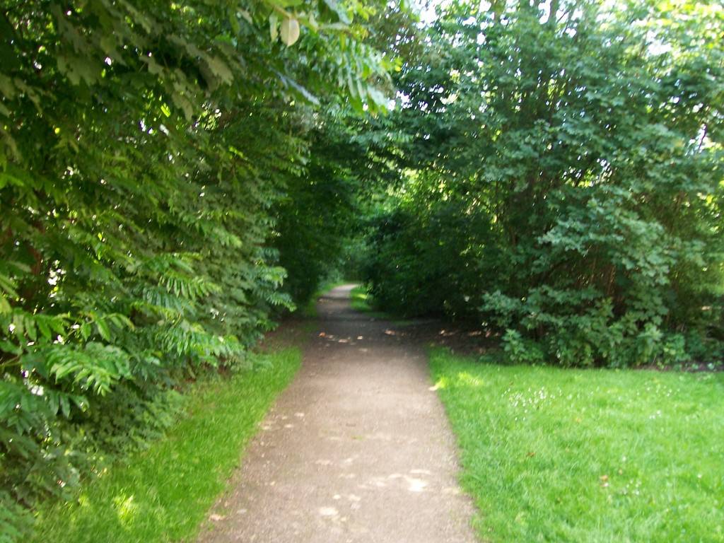 Foto /pics/24489-469-boltzplatz_fasanenweg-kiwitzredder__3_.jpg