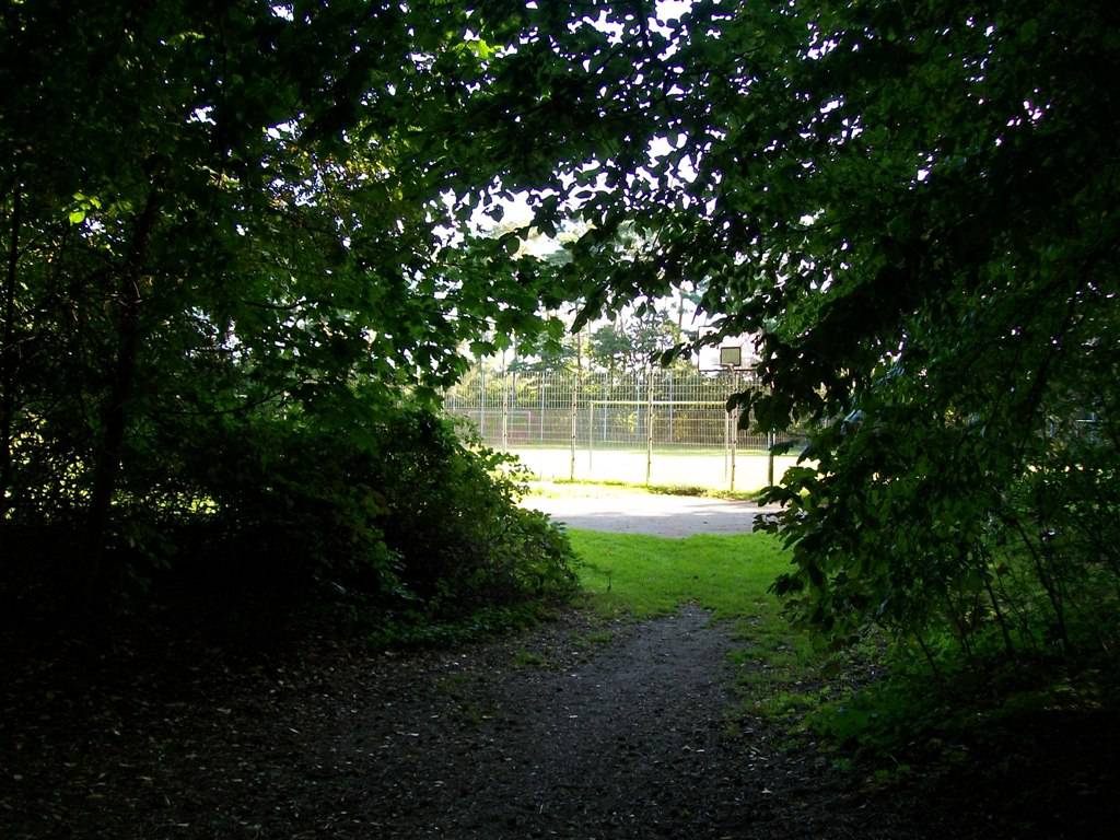 Foto /pics/25383-772-bolzplatz_dreifelder_weg-am_pohl__2_.jpg