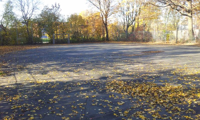 Foto /pics/256-2012-11-14_13.16.35.jpg