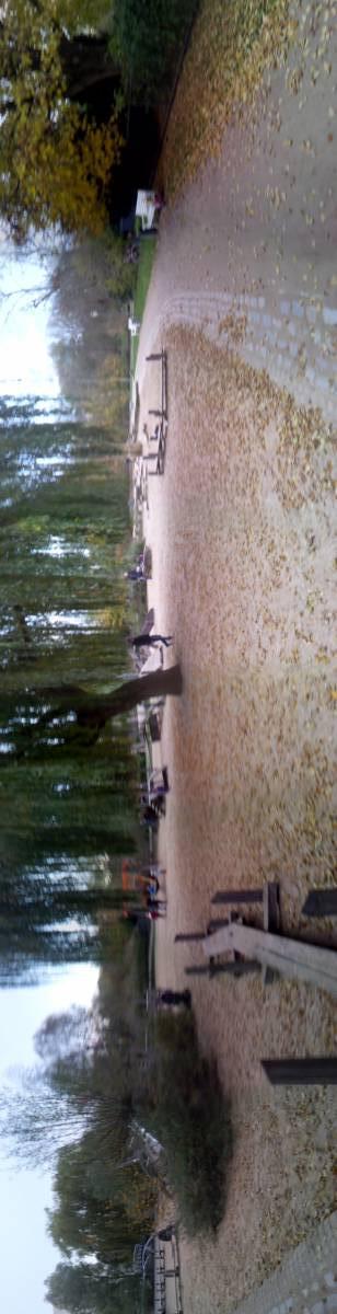 Foto /pics/2564-20141104_155343.jpg