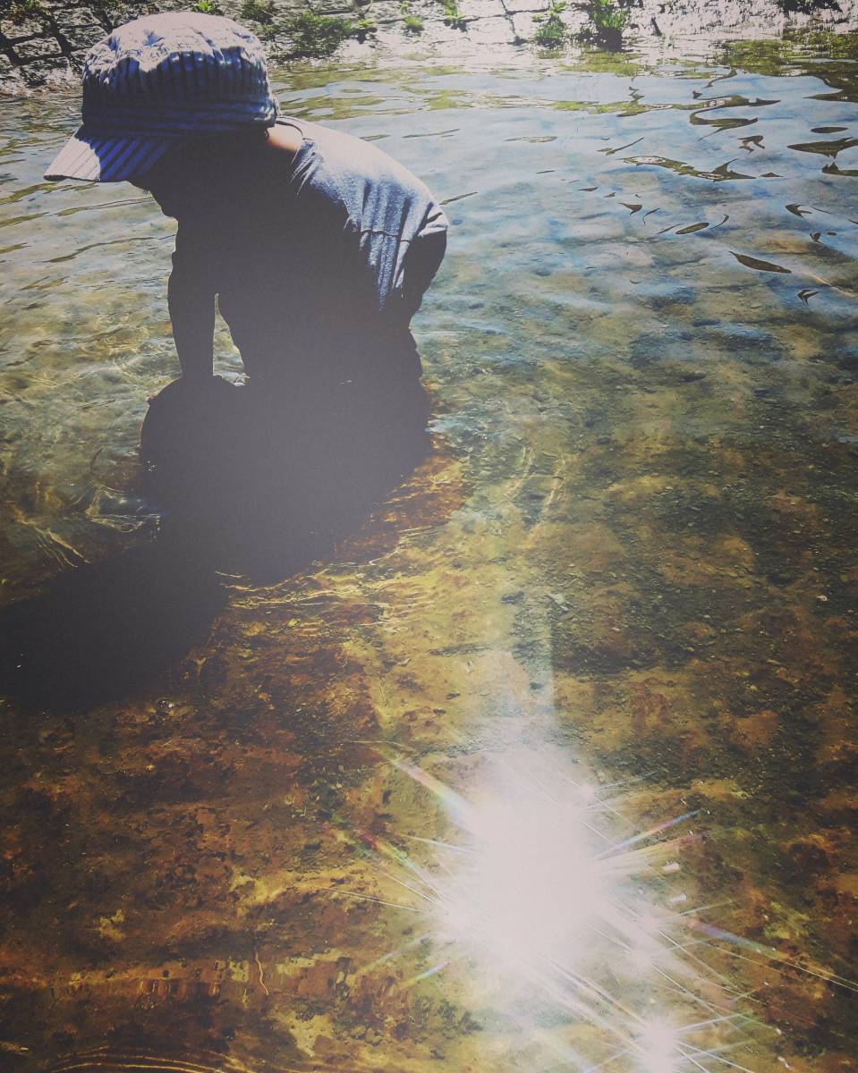 Foto /pics/25963-img_20160719_155046.jpg