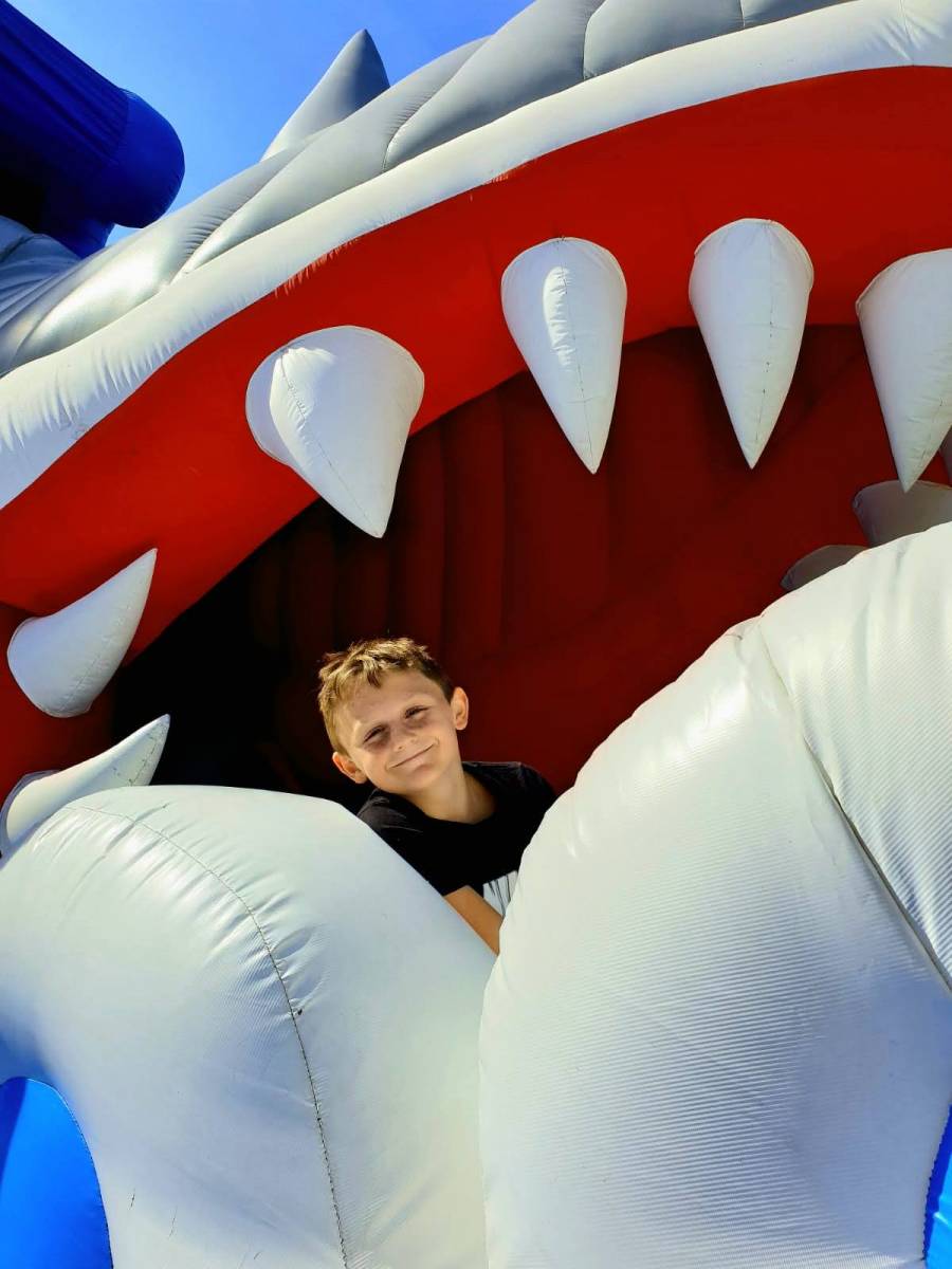 Foto /pics/26245-hai_huepfburgenland.jpg