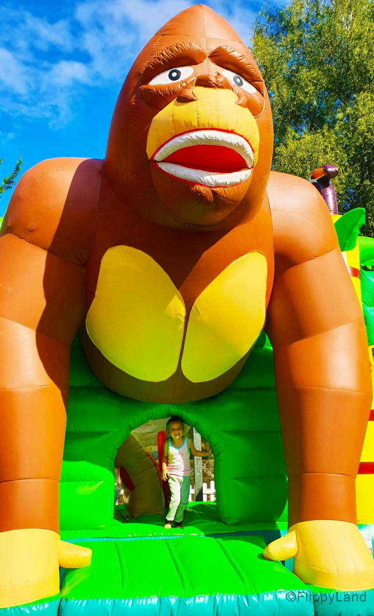 Foto /pics/26245-huepfburg-kong2.jpg