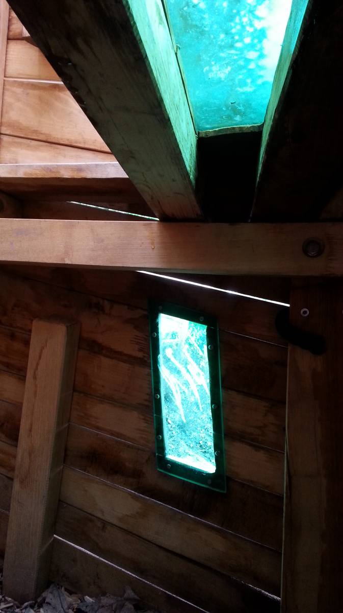 Foto /pics/29057-20160110_142252_wengertweg.jpg