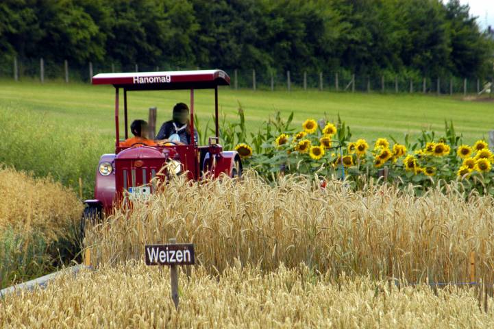 Foto /pics/3006-foto_lochmuehle_traktorbahn.jpg