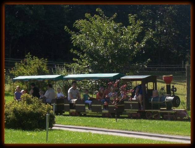 Foto /pics/3010-freizeitpark_plohn_2009_15.jpg