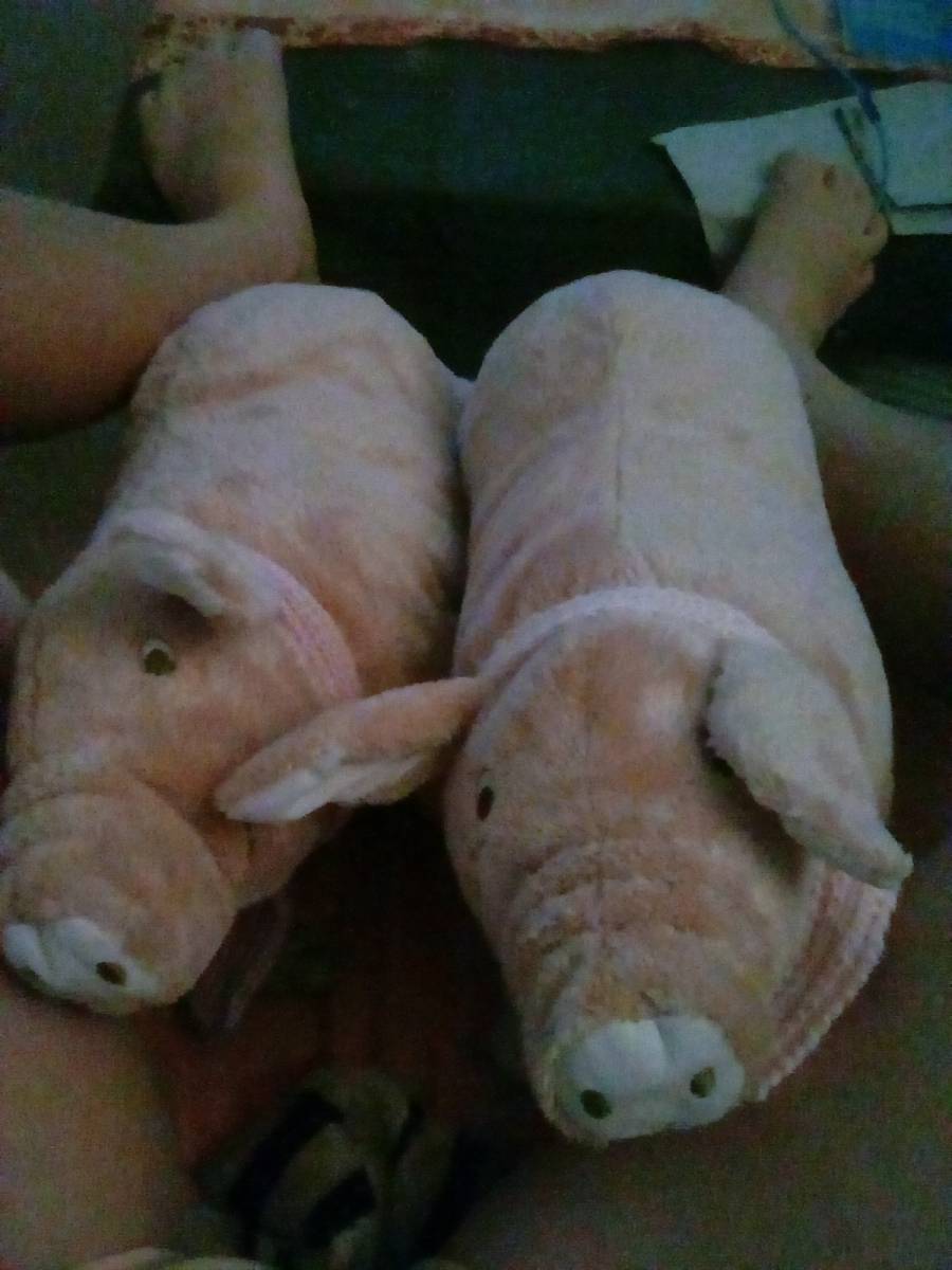 Foto /pics/30887-1755616470837631903890.jpg