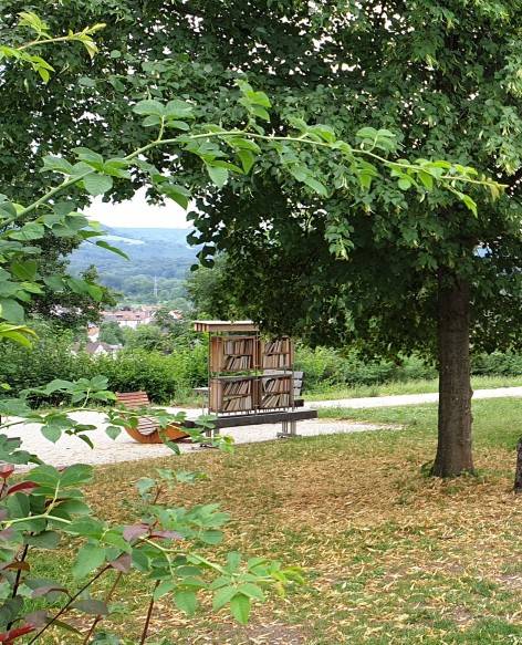 Foto /pics/33375-20190713_135242.jpg