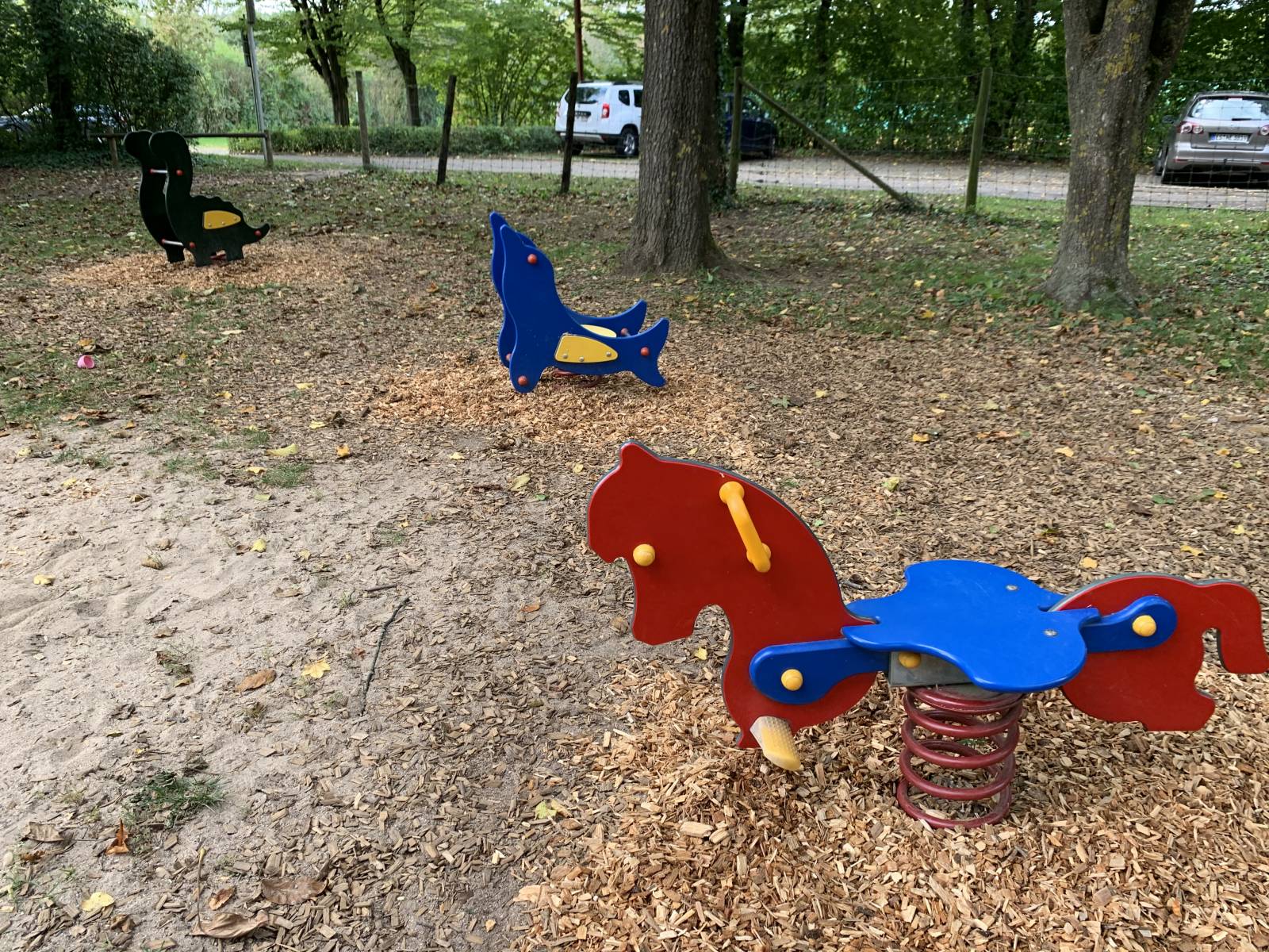 Foto /pics/33996-4a29e94c-4d2b-45a0-b4f9-2ebffb3aea74.jpeg