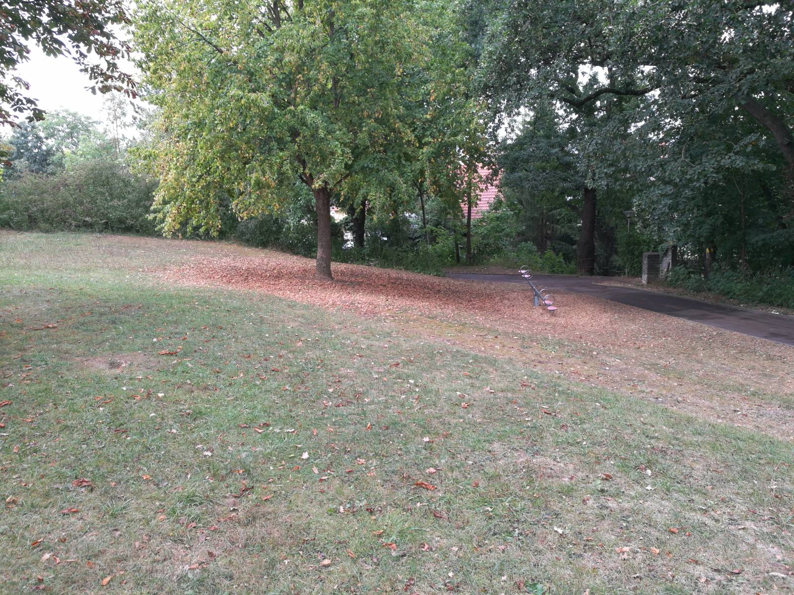 Foto /pics/37256-1535981260110293488009.jpg