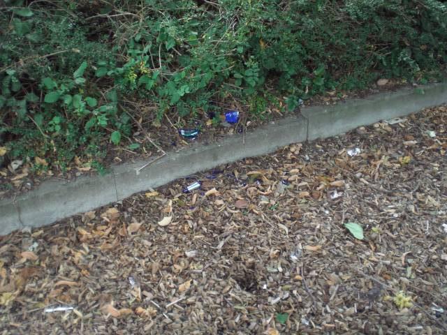 Foto /pics/388-cimg5190.jpg