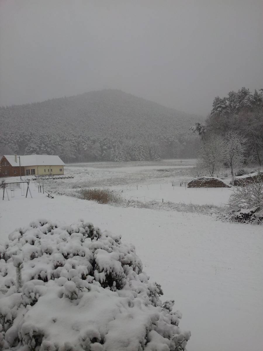 Foto /pics/39075-20141227_093203.jpg