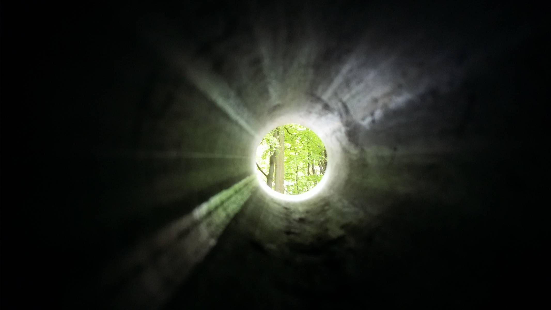 Foto /pics/44281-20160515_172616.jpg