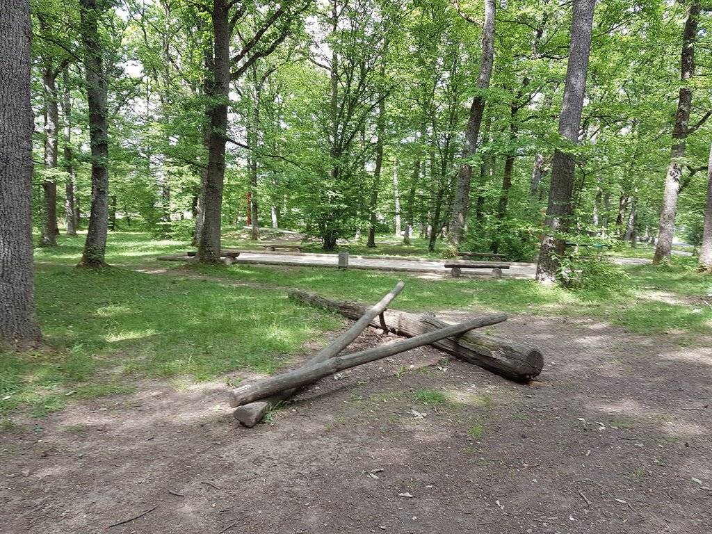 Foto /pics/45940-ohm1.jpg