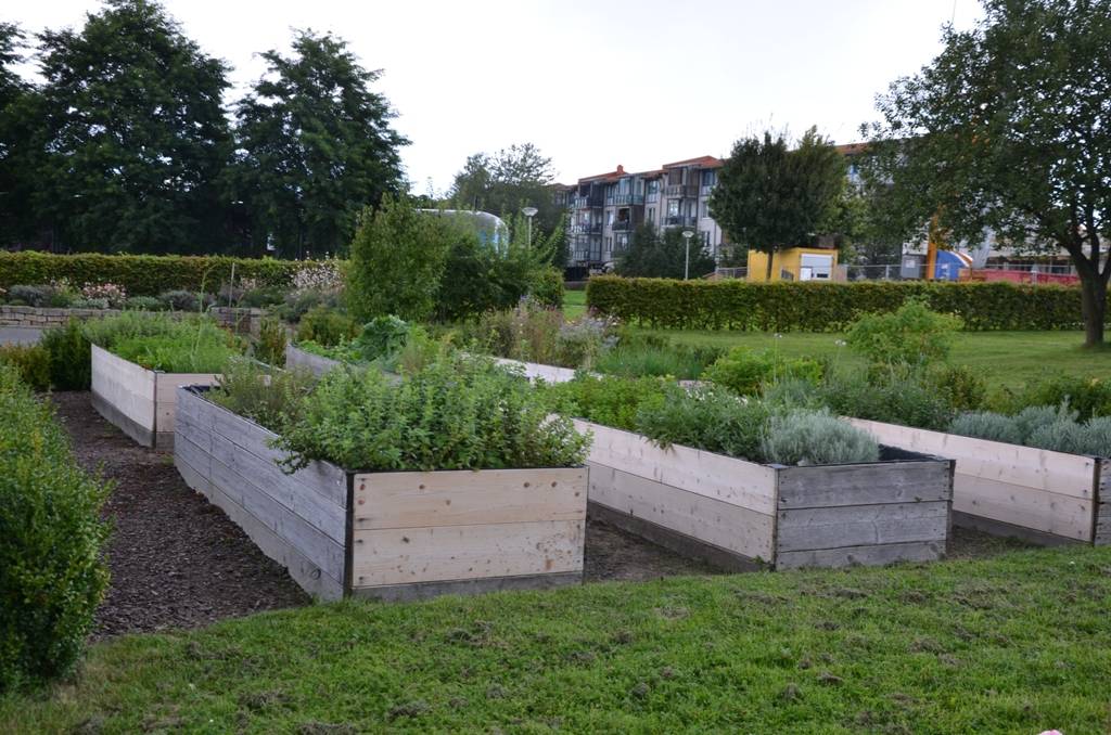 Foto Lebensgarten in Salzgitter