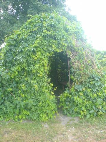 Foto /pics/5319-dsc01847.jpg