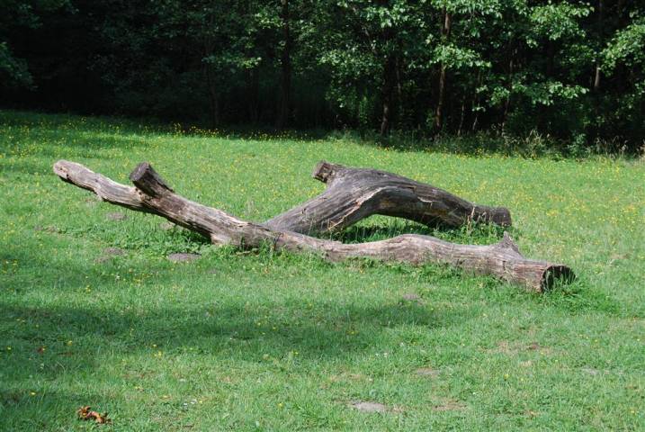 Foto /pics/5476-dsc_5441.jpg