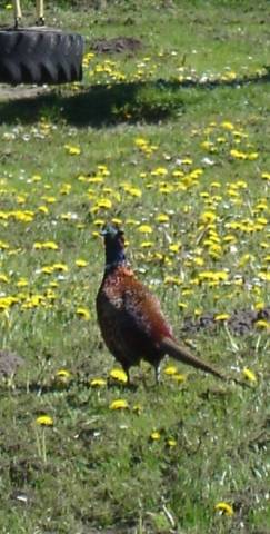 Foto /pics/593-dsc01031.jpg