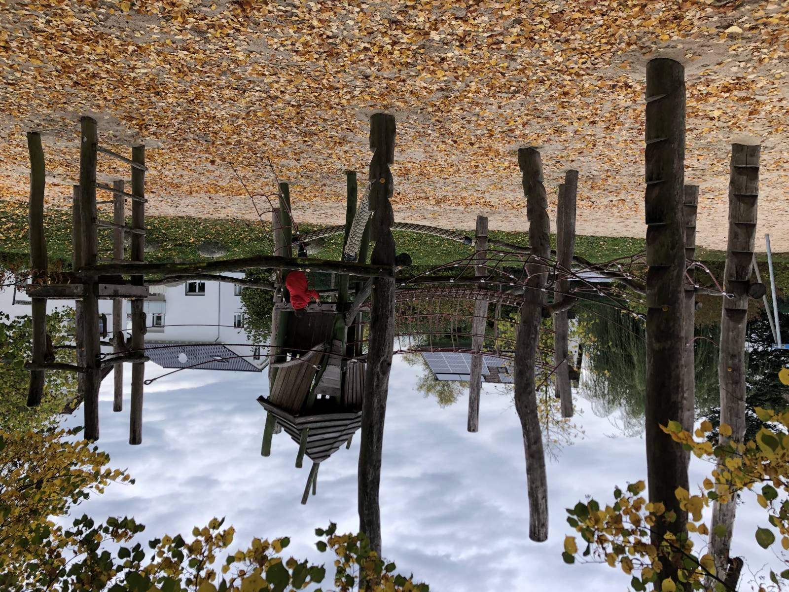 Foto /pics/59566-4de6a589-99a9-4db7-b6b9-da0457e71439.jpeg