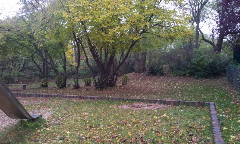 Foto /pics/6000-2012-11-09_08.51.12.jpg