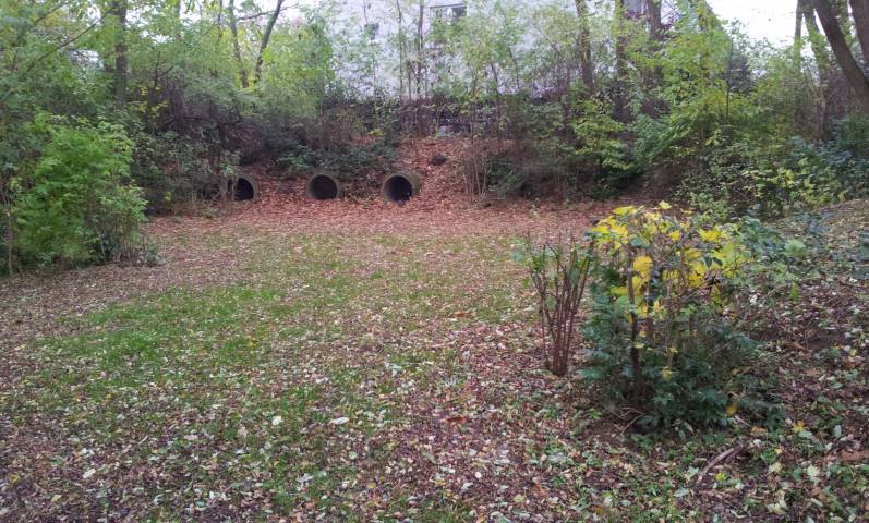 Foto /pics/6000-2012-11-09_08.52.42.jpg