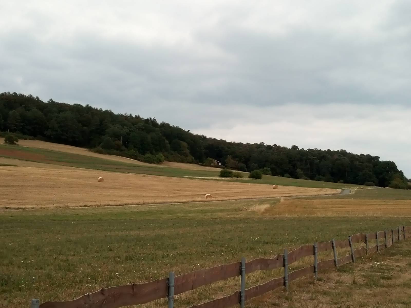 Foto /pics/60145-img_20180815_163150.jpg