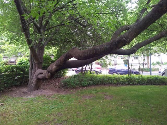 Foto /pics/6180-20120614_170318.jpg