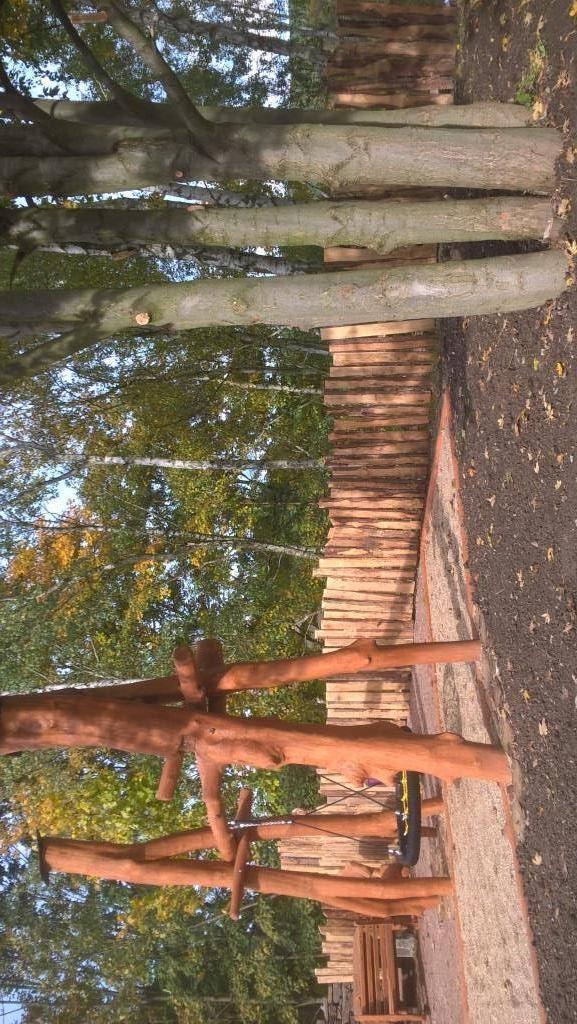 Foto /pics/65912-wp_20161019_12_49_28_pro++90.jpg