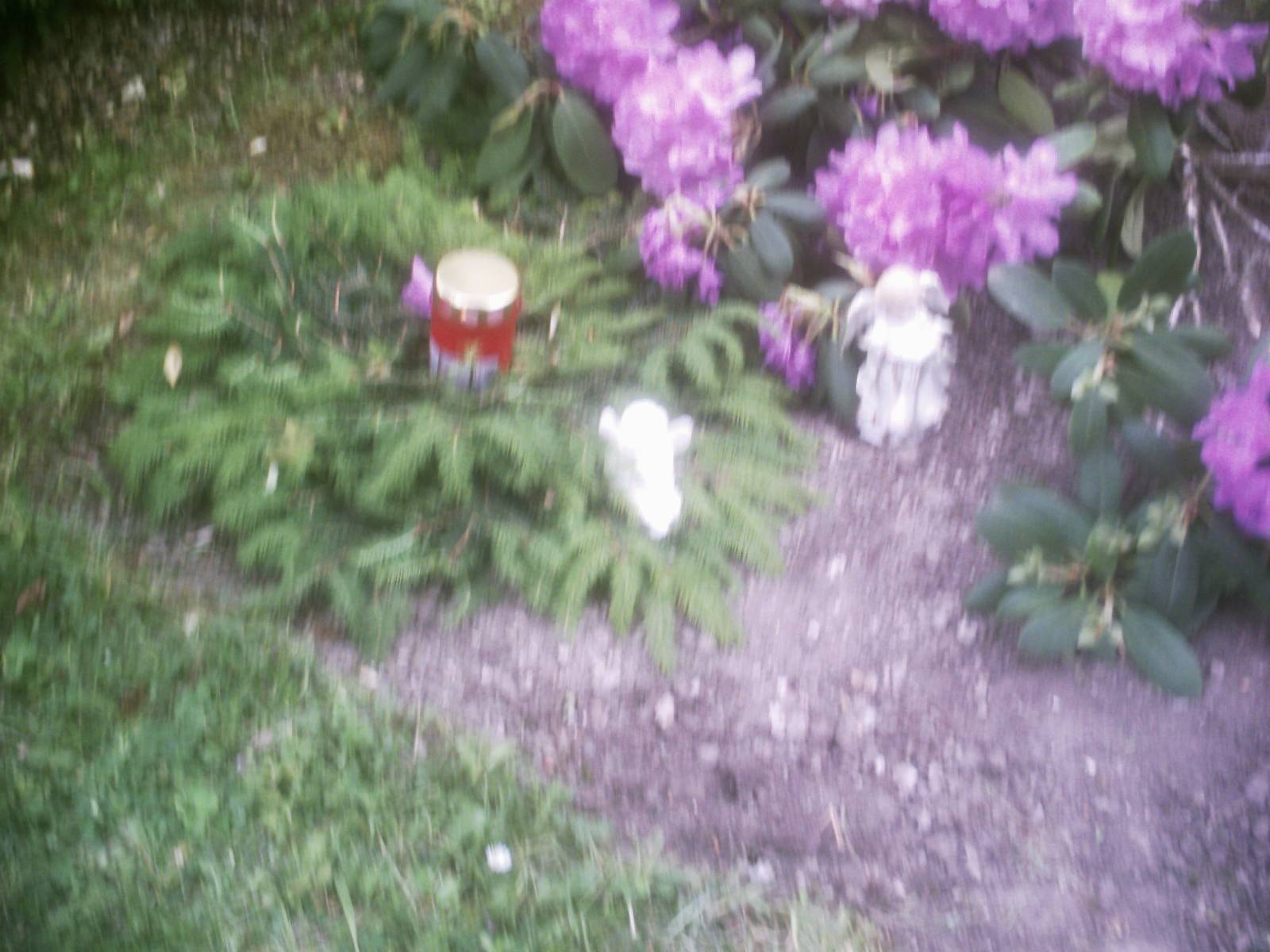 Foto /pics/6681-ingrid_2.teil_004.jpg