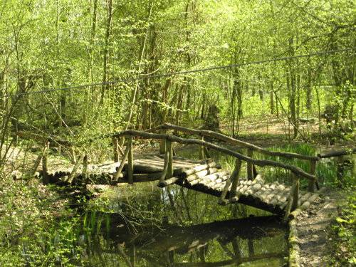 Foto /pics/6775-fruehling.jpg