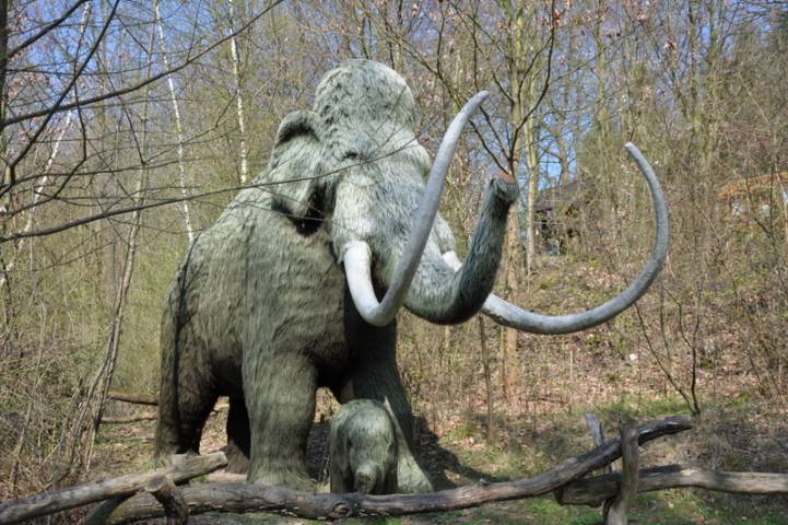 Foto /pics/689-dsc_4314.jpg