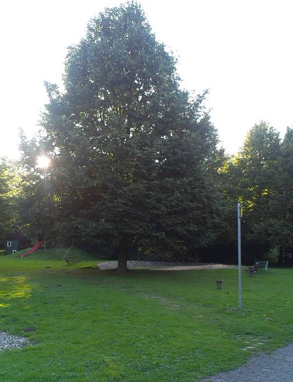 Foto /pics/6935-kibitzrechts.jpg