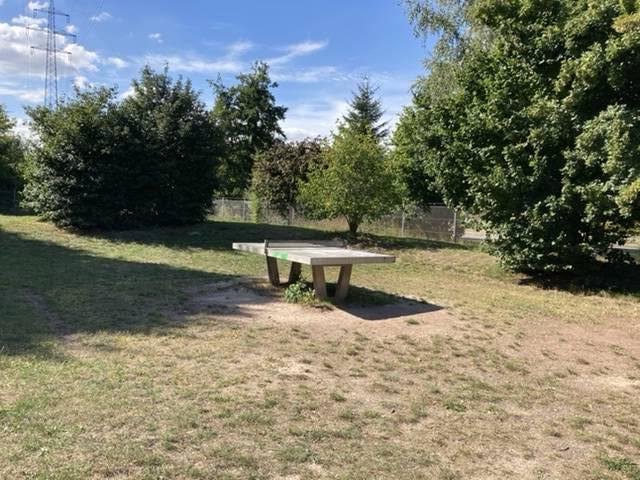 Foto /pics/71142-e7441383-ed10-44e3-8f44-86f6c98461b1++180.jpg