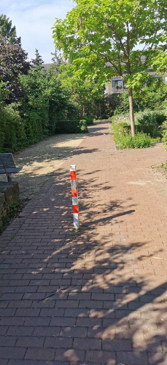 Foto /pics/72073-img_20200621_100153.jpg