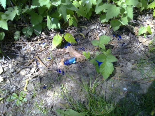 Foto /pics/7355-18042011349.jpg