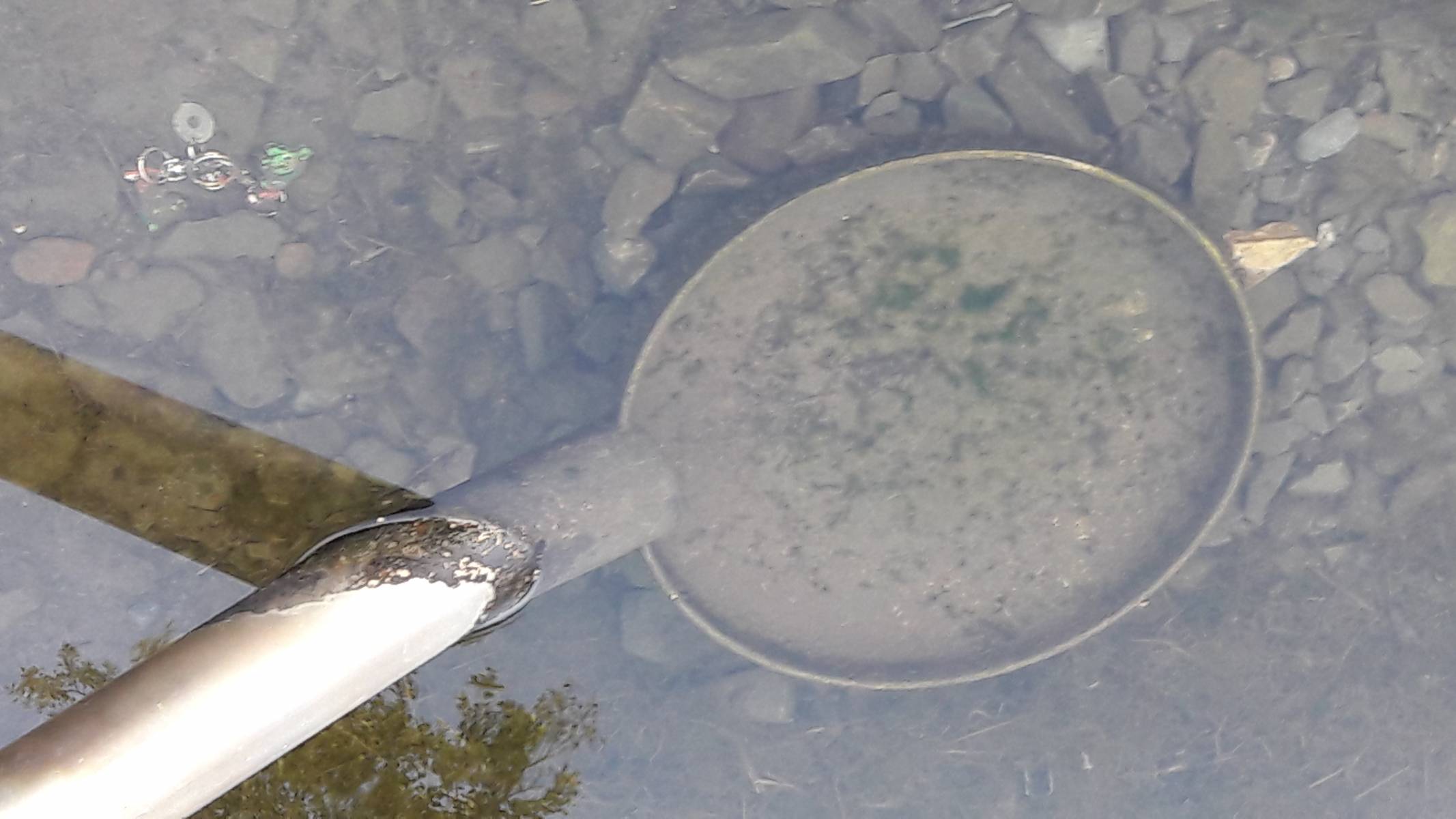 Foto /pics/75776-20190920_085435.jpg