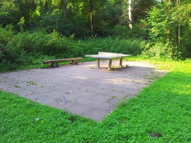 Foto /pics/9103-20120829_091358.jpg