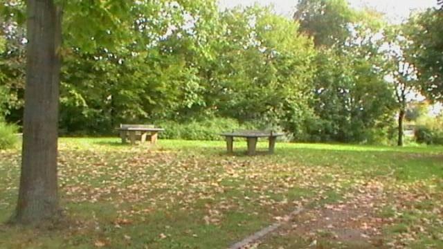 Foto /pics/9622-2011_vk-nr_3_210.jpg