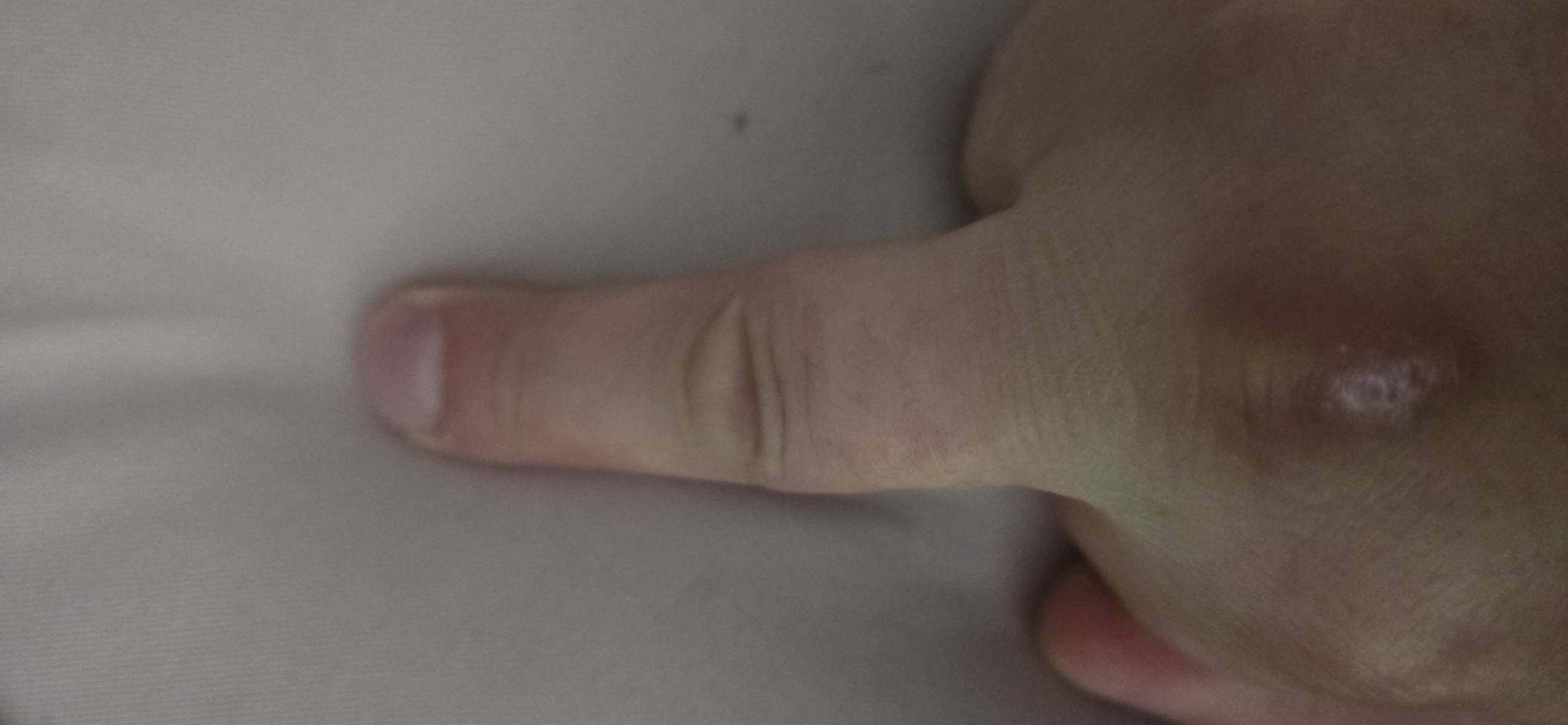 Foto /pics/9629-17542201135677666494836091571547.jpg