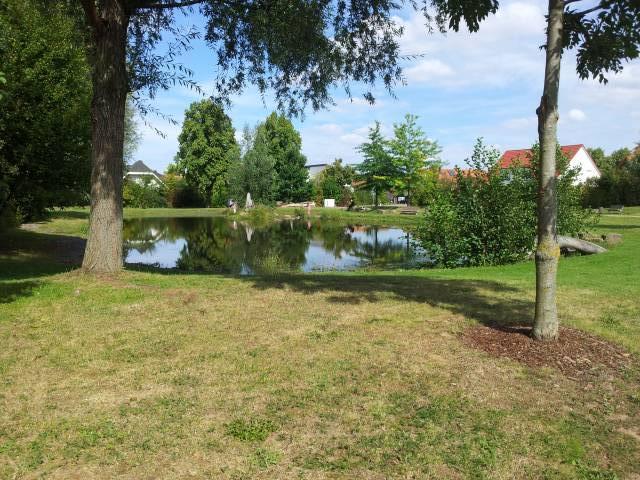 Foto /pics/967-20120902_131448-646896464.jpg