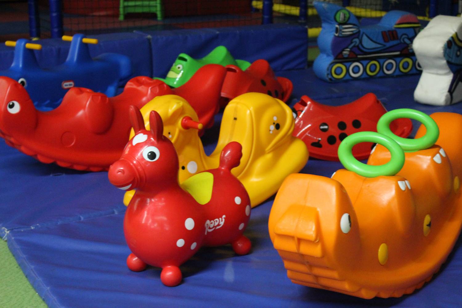 Foto /pics/9878-img_1478.jpg