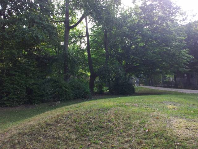 Foto /pics/992-20120903_091010.jpg