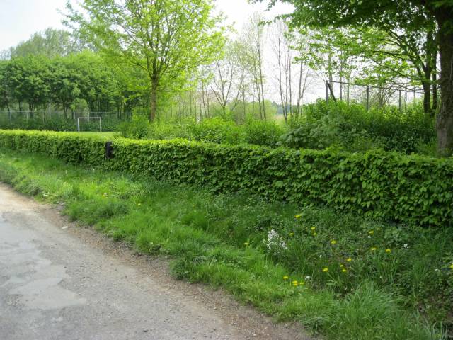 Foto /pics/9935-img_1636.jpg