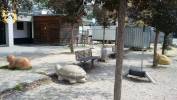 Bild 16406