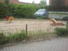 Bild 5048