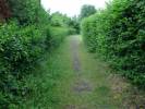 Bild 7026
