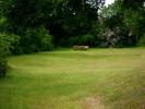 Bild 7031
